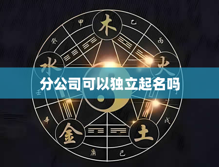分公司可以独立起名吗