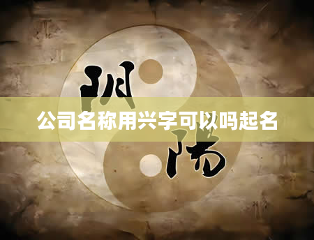 公司名称用兴字可以吗起名