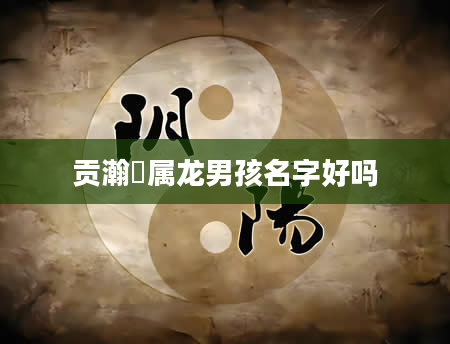 贡瀚玥属龙男孩名字好吗