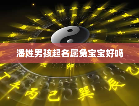 潘姓男孩起名属兔宝宝好吗