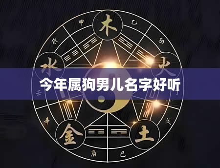 今年属狗男儿名字好听