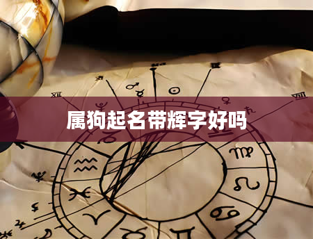 属狗起名带辉字好吗