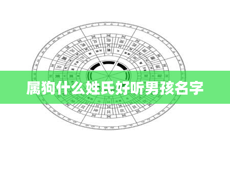 属狗什么姓氏好听男孩名字