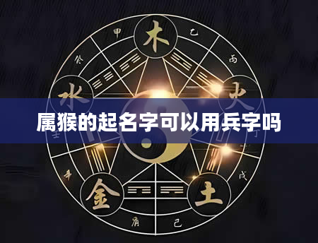 属猴的起名字可以用兵字吗