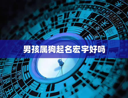 男孩属狗起名宏宇好吗