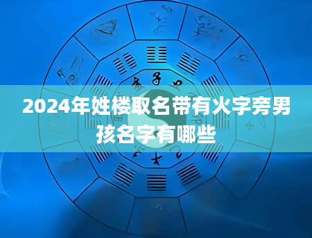 2024年姓楼取名带有火字旁男孩名字有哪些