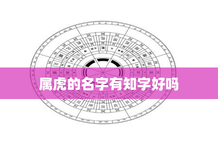 属虎的名字有知字好吗