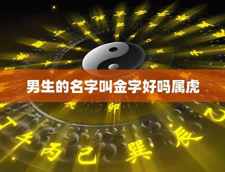 男生的名字叫金字好吗属虎