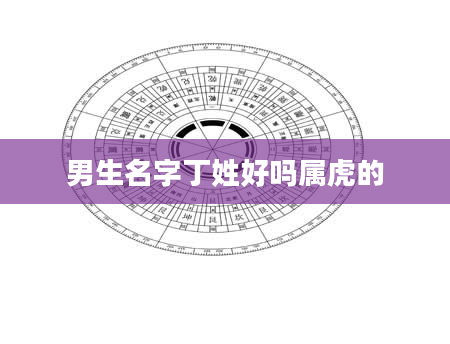 男生名字丁姓好吗属虎的