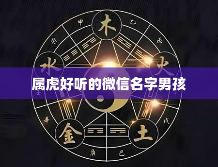 属虎好听的微信名字男孩