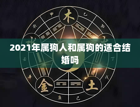 2021年属狗人和属狗的适合结婚吗