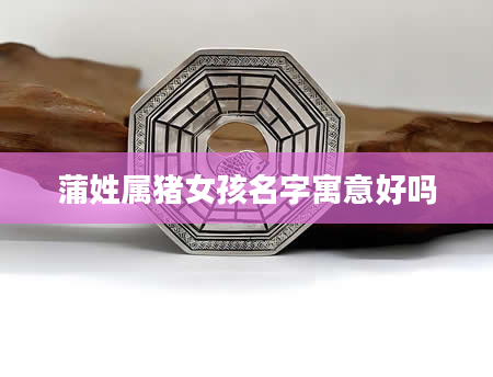 蒲姓属猪女孩名字寓意好吗