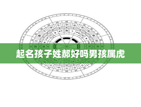 起名孩子姓郝好吗男孩属虎