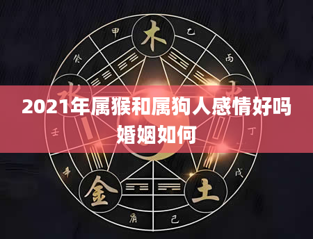 2021年属猴和属狗人感情好吗婚姻如何