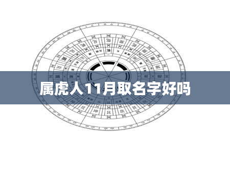 属虎人11月取名字好吗