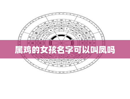 属鸡的女孩名字可以叫凤吗