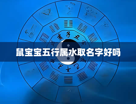 鼠宝宝五行属水取名字好吗