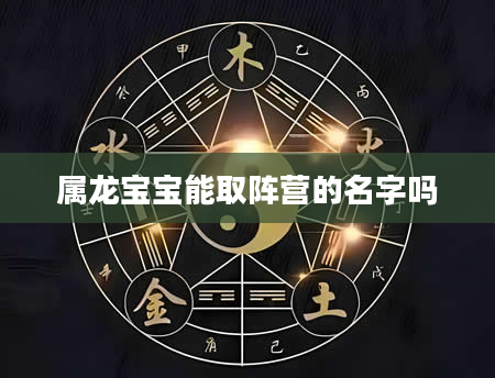 属龙宝宝能取阵营的名字吗