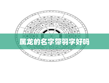 属龙的名字带羽字好吗