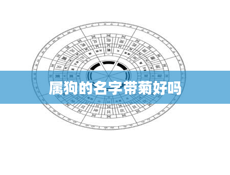 属狗的名字带菊好吗