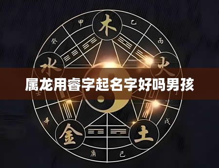 属龙用睿字起名字好吗男孩