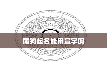 属狗起名能用宣字吗