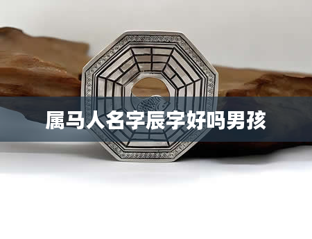 属马人名字辰字好吗男孩