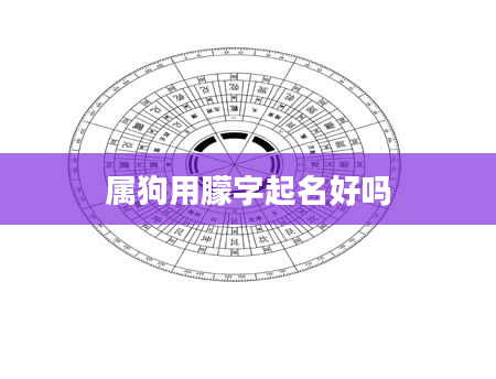 属狗用朦字起名好吗