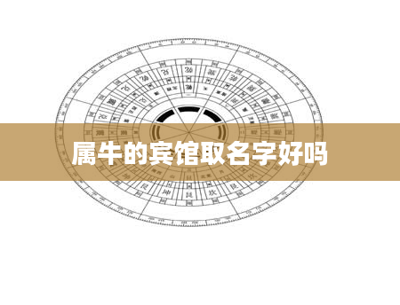 属牛的宾馆取名字好吗