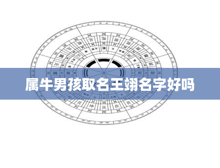 属牛男孩取名王翊名字好吗