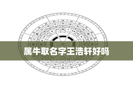 属牛取名字王浩轩好吗