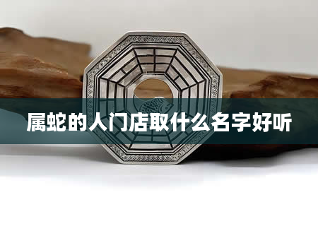属蛇的人门店取什么名字好听