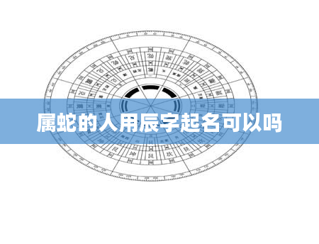 属蛇的人用辰字起名可以吗