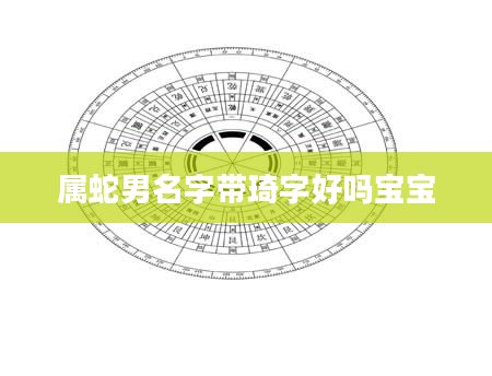 属蛇男名字带琦字好吗宝宝