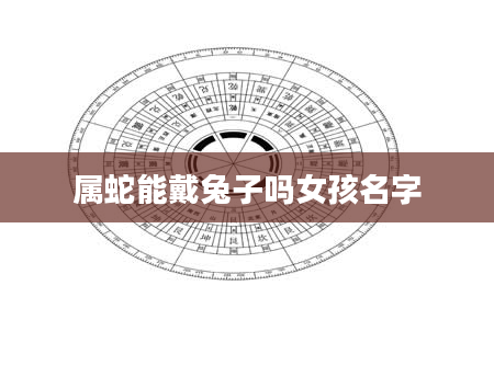属蛇能戴兔子吗女孩名字