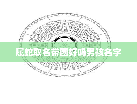 属蛇取名带团好吗男孩名字