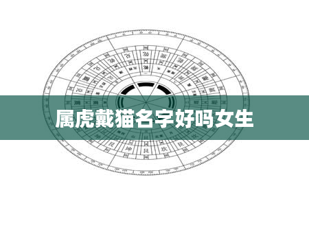 属虎戴猫名字好吗女生