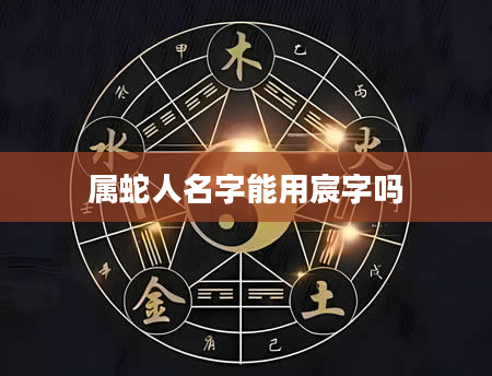 属蛇人名字能用宸字吗