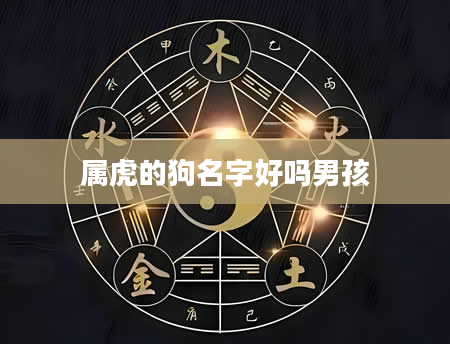 属虎的狗名字好吗男孩