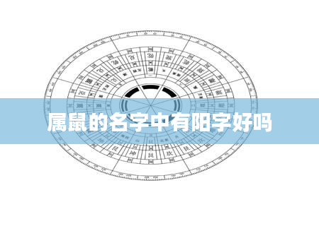 属鼠的名字中有阳字好吗
