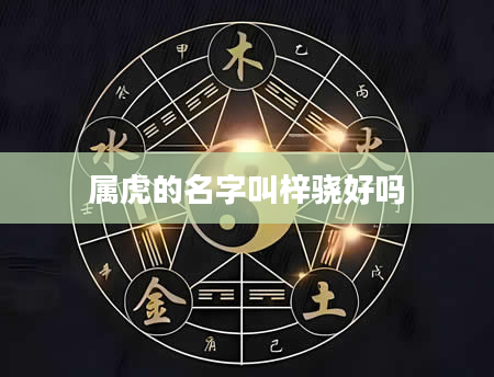 属虎的名字叫梓骁好吗