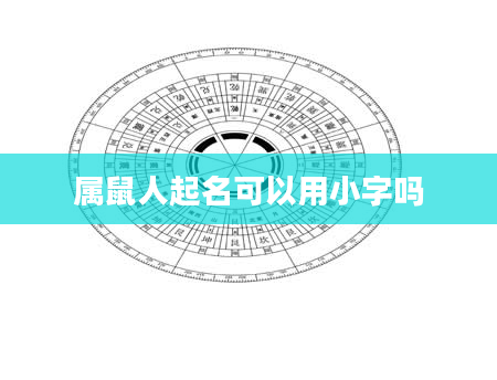 属鼠人起名可以用小字吗