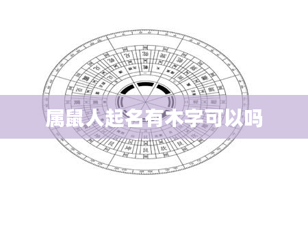 属鼠人起名有木字可以吗