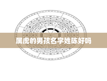 属虎的男孩名字姓陈好吗