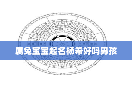 属兔宝宝起名杨希好吗男孩