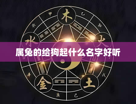 属兔的给狗起什么名字好听