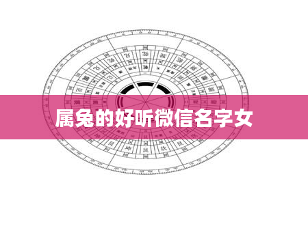 属兔的好听微信名字女