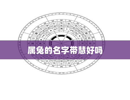 属兔的名字带慧好吗