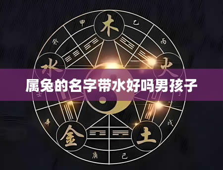属兔的名字带水好吗男孩子