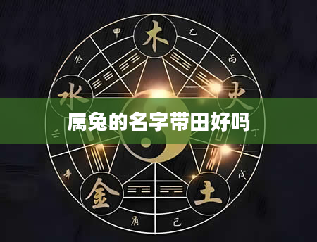 属兔的名字带田好吗